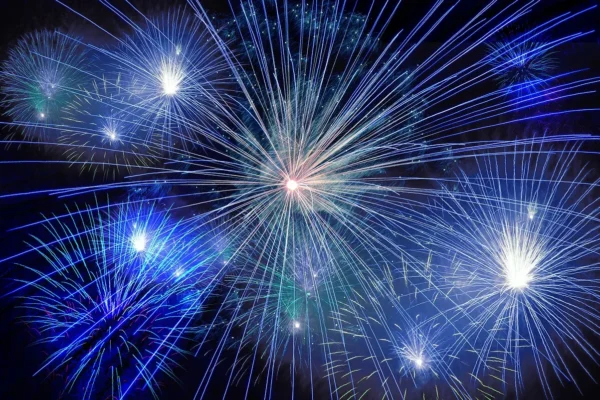 The Ultimate Guide to New Year’s Eve in India: Dos and Don’ts for a Successful Celebration fireworks 574739 1280
