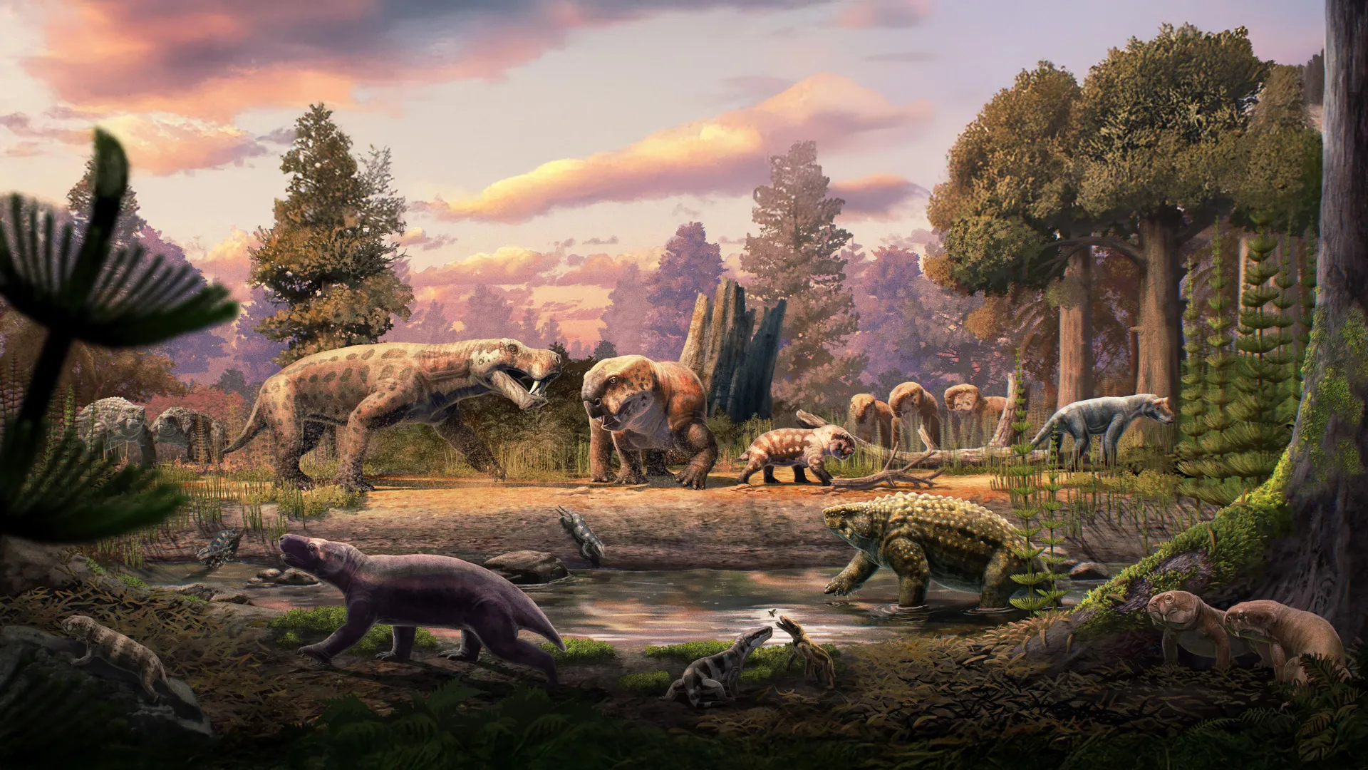 Ancient predators and giant amphibians found in African fossil treasure trove 1 Ancient predators and giant amphibians found in African fossil treasure trove