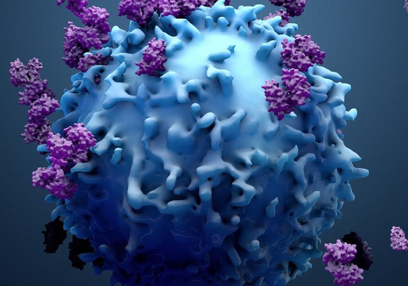 BATMAN Signals T Cell Receptor Crossreactivity 1 BATMAN Signals T Cell Receptor Crossreactivity