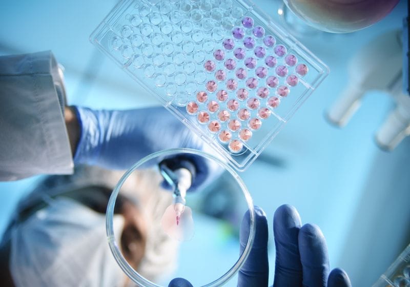 Biologics Offer a Vast Toolbox for Disease Treatment