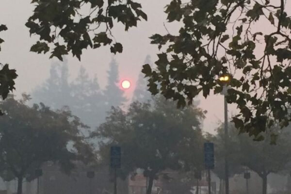 Blazing a Trail Against Wildfires