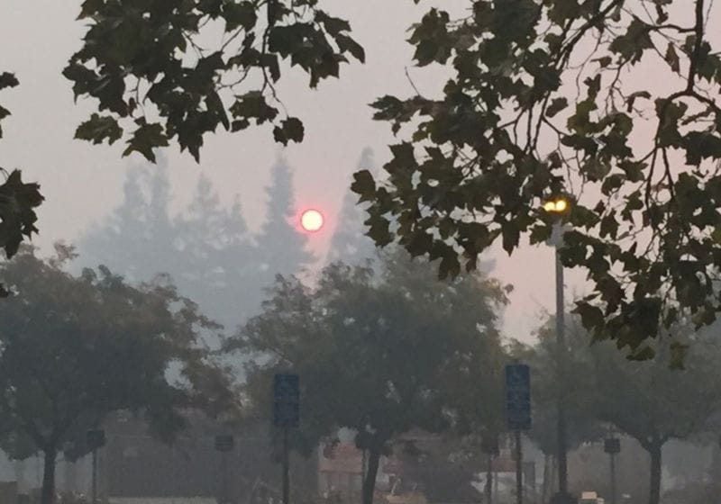 Blazing a Trail Against Wildfires