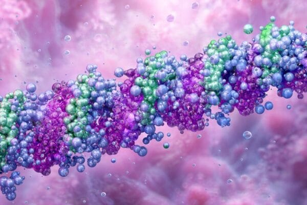 Chemical Staples Keep Collagen from Falling Apart Chemical Staples Keep Collagen from Falling Apart