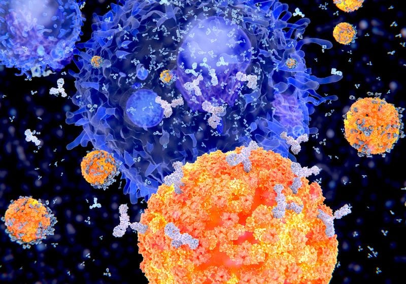 Conjugate Vaccine Mechanisms, Design, and Immunological Memory 1 Conjugate Vaccine Mechanisms, Design, and Immunological Memory