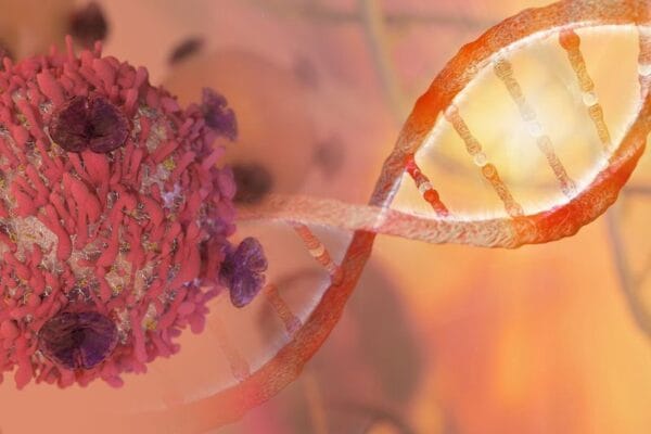 Genetic Variability Affects How Tumors Respond to Immunotherapy Genetic Variability Affects How Tumors Respond to Immunotherapy