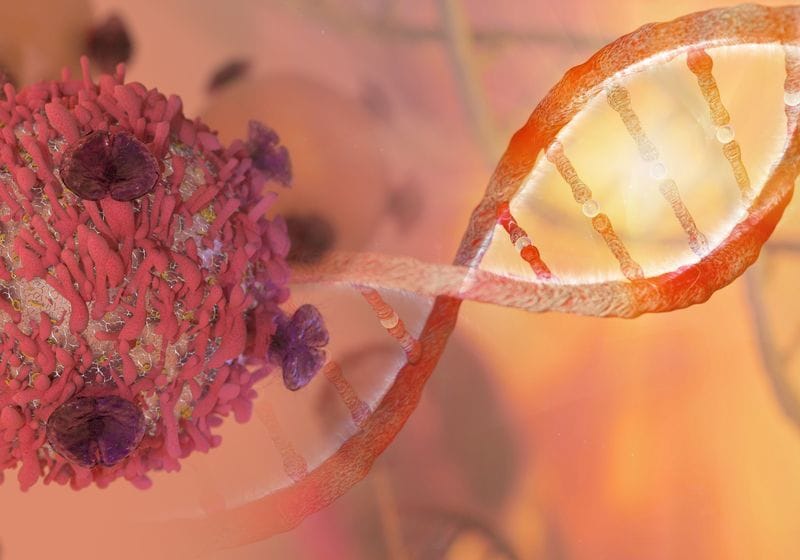 Genetic Variability Affects How Tumors Respond to Immunotherapy