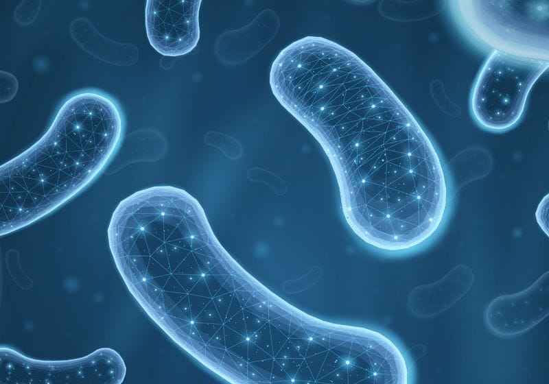 Improving Bacterial Strain Construction with Automation 1 Improving Bacterial Strain Construction with Automation