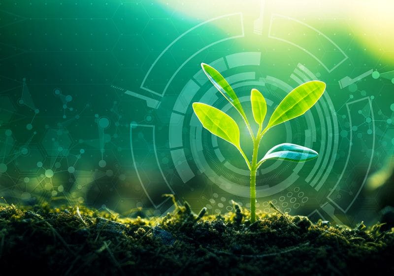 Improving Crop Resilience with AI and DNA Synthesis 1 Improving Crop Resilience with AI and DNA Synthesis