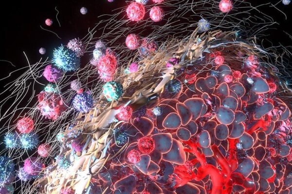 Mapping Tumor Terrain with Spatial Biology Tools