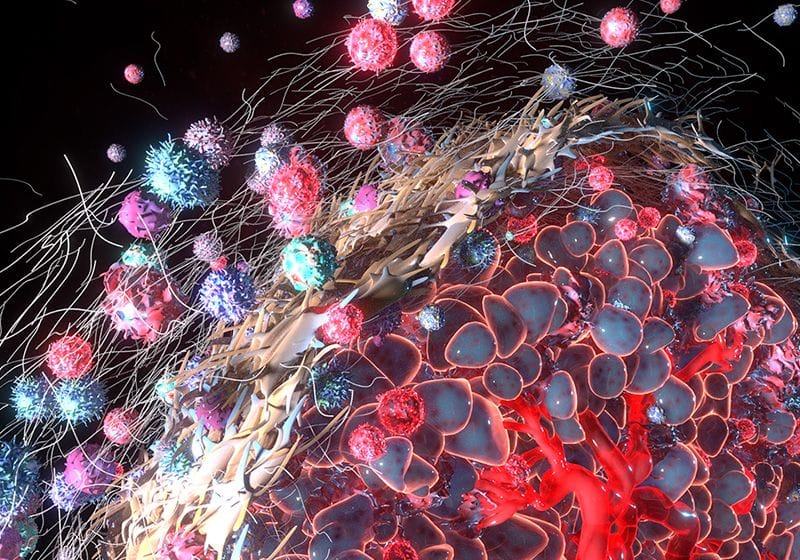 Mapping Tumor Terrain with Spatial Biology Tools