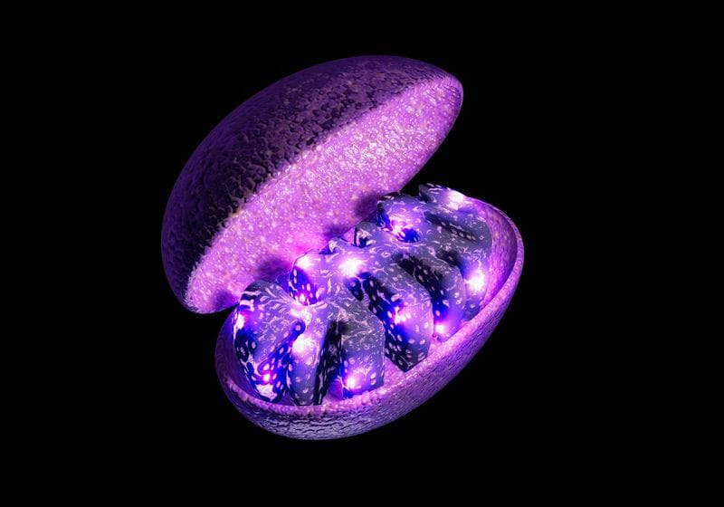 Mitochondria Tune NAD+ Levels for Cells Past Their Prime