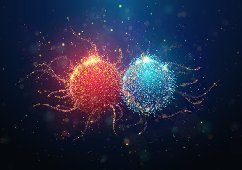 Optimizing Tumor-Infiltrating Lymphocyte Manufacturing | The Scientist 1 Optimizing Tumor-Infiltrating Lymphocyte Manufacturing | The Scientist
