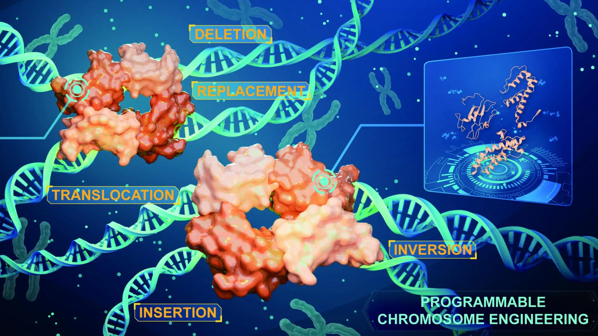 Scientists just cracked the code to editing entire chromosomes flawlessly