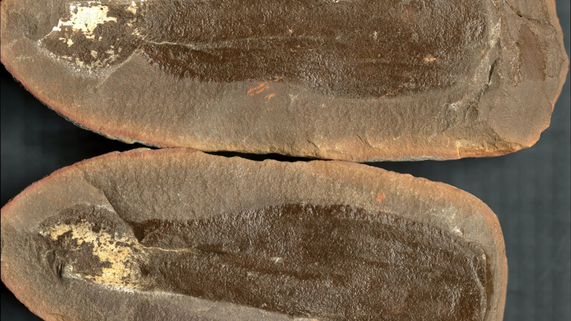 Scientists just uncovered three ancient worlds frozen beneath Illinois for 300 million years 1 Scientists just uncovered three ancient worlds frozen beneath Illinois for 300 million years