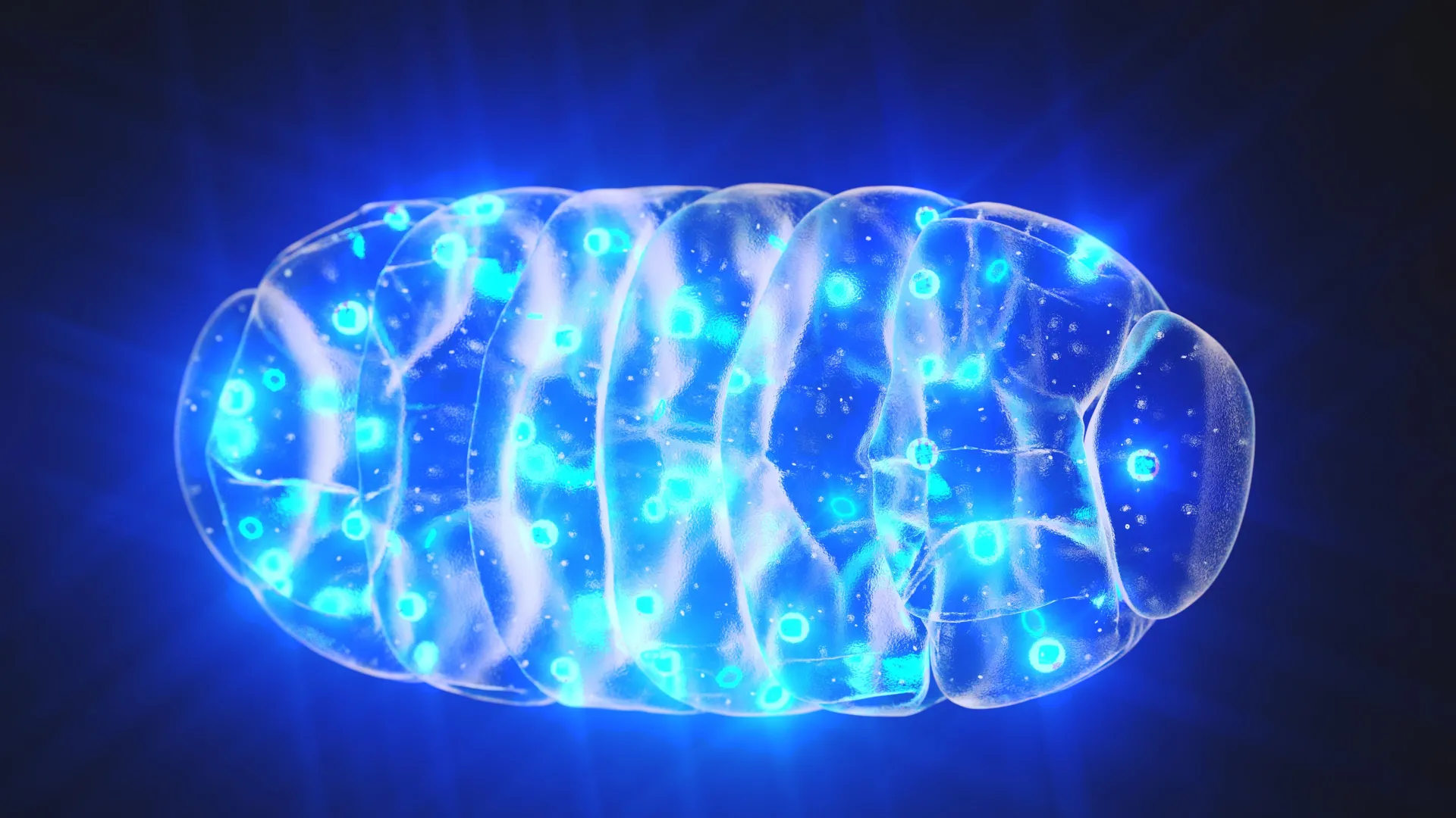 Scientists reversed memory loss by powering the brain’s tiny engines 1 Scientists reversed memory loss by powering the brain’s tiny engines