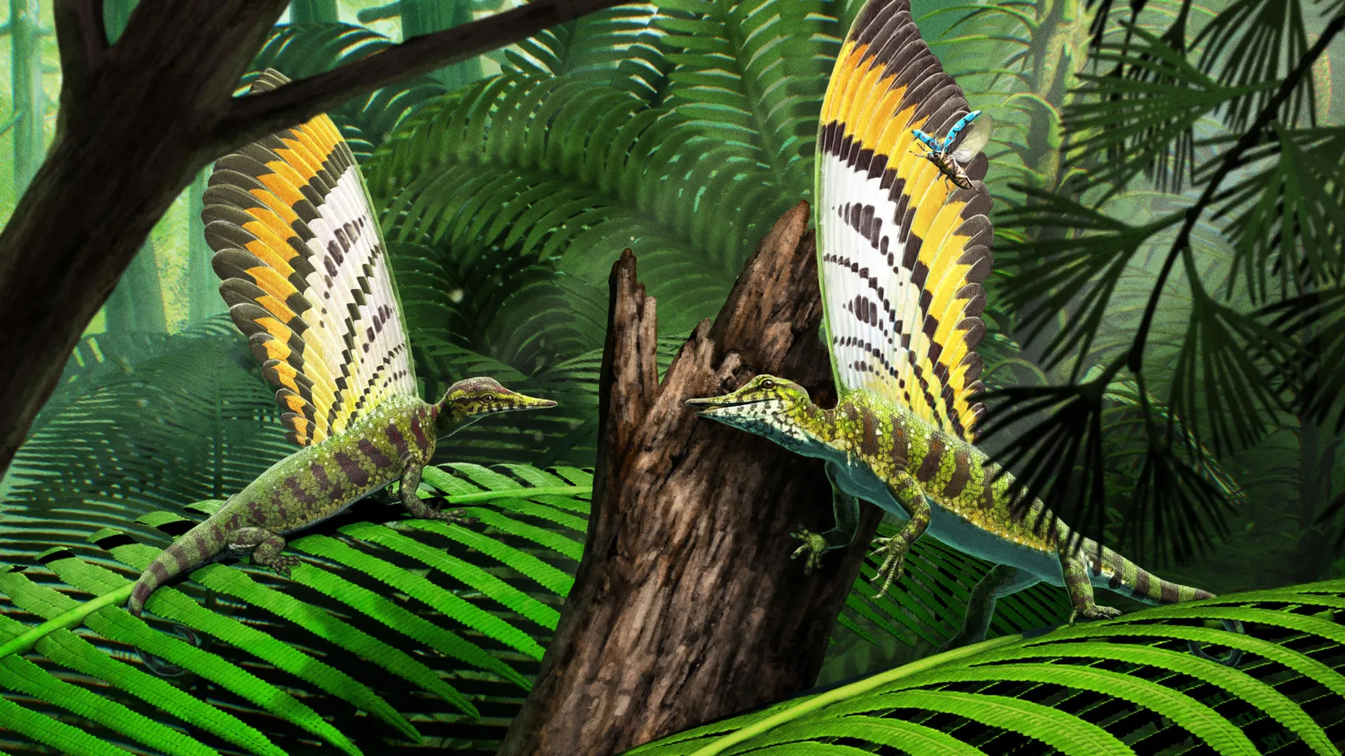 Stunning “wonder reptile” discovery rewrites the origins of feathers 1 Stunning “wonder reptile” discovery rewrites the origins of feathers