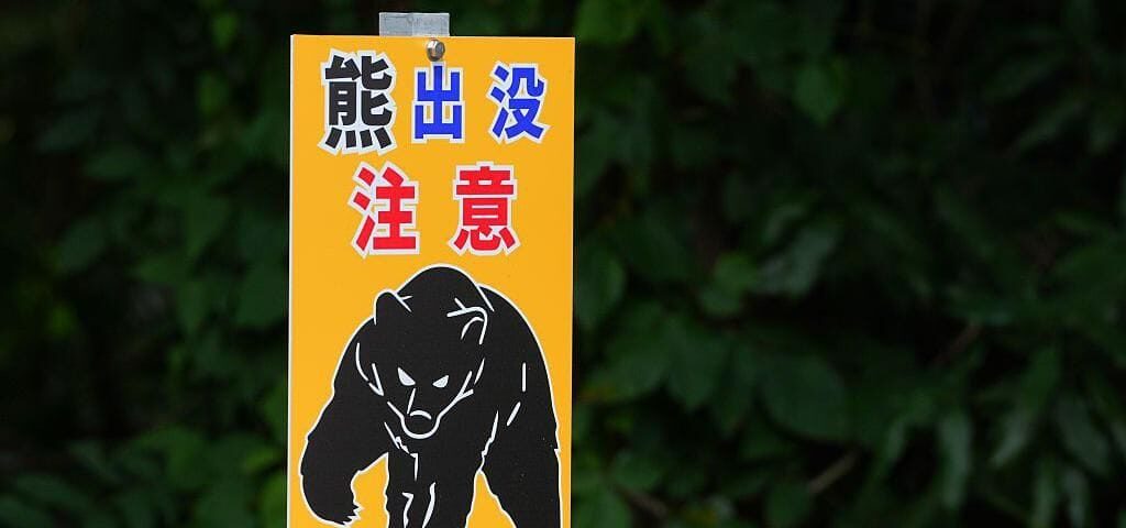 Suspected bear attack victim was killed by son, police say 1 Suspected bear attack victim was killed by son, police say