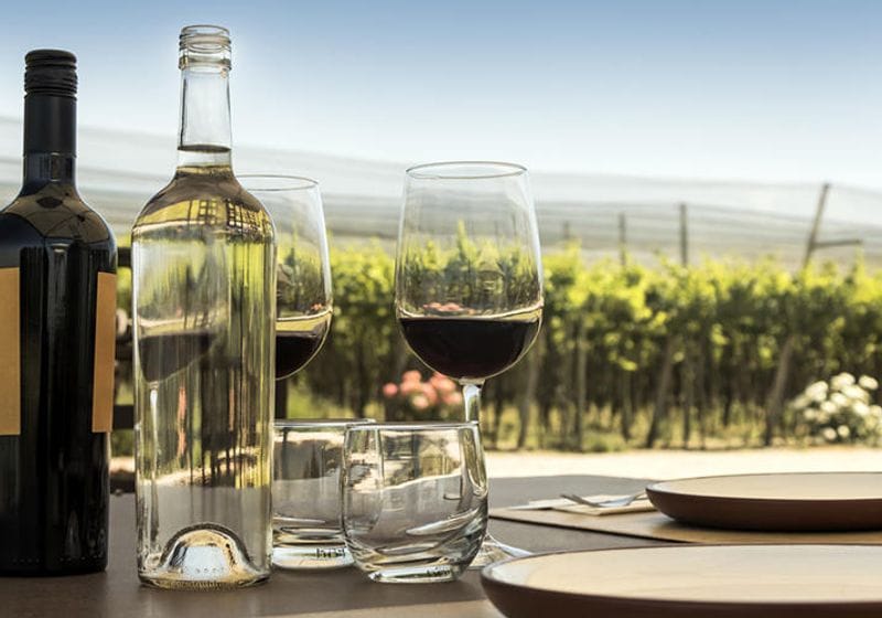 Sustainable Practices Utilizing Genomics in New Zealand Wine Production