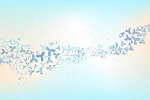 The Holy Grail Hunt in De Novo Antibody Design The Holy Grail Hunt in De Novo Antibody Design