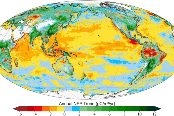 The hidden climate battle between forests and the ocean