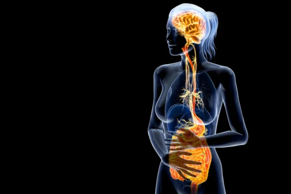 The pandemic’s secret aftershock: Inside the gut-brain breakdown The pandemic’s secret aftershock: Inside the gut-brain breakdown