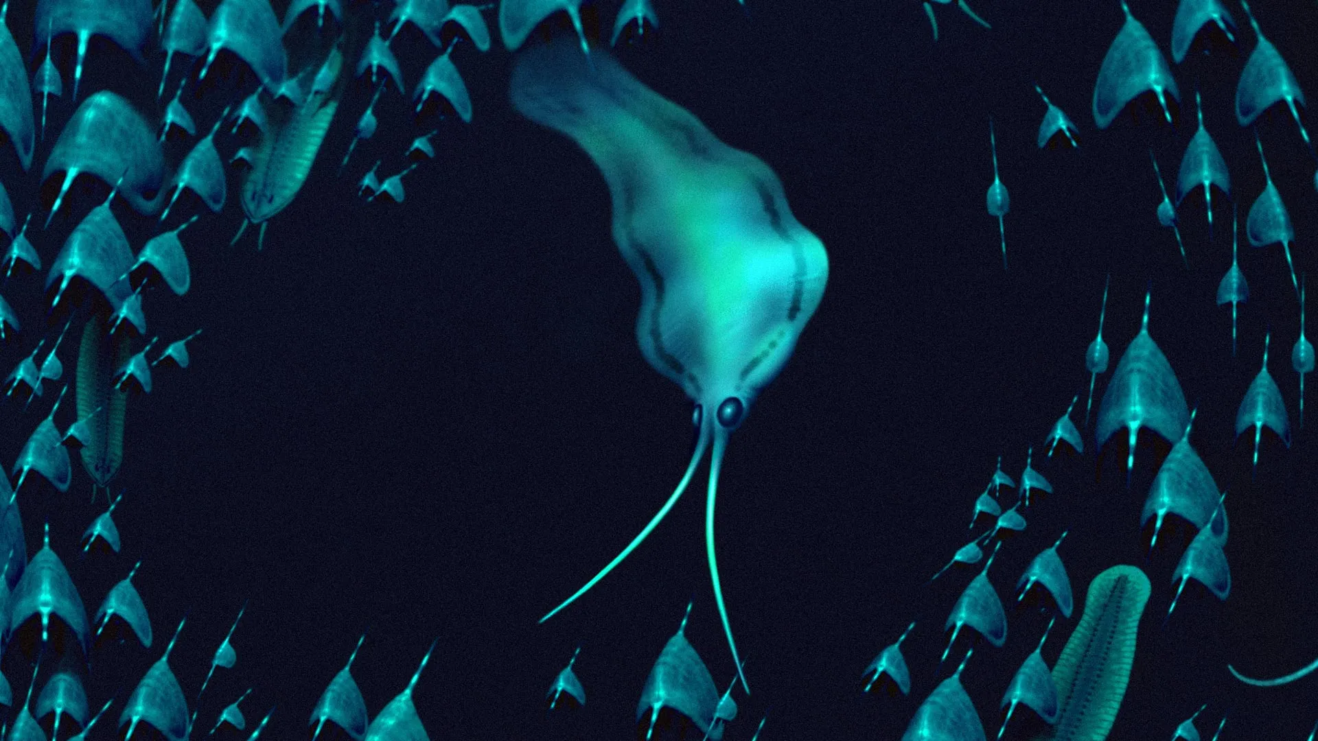 500-million-year-old “squid” were actually ferocious worms 1 500-million-year-old “squid” were actually ferocious worms