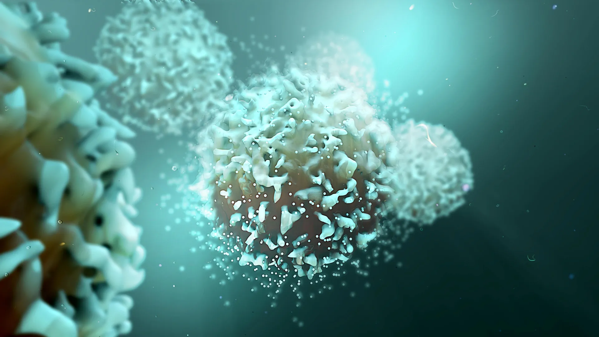 A hormone that silences the immune system may unlock new cancer treatments