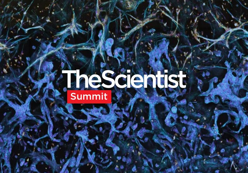 Advanced 3D Cell Models: Bridging the Gap to Therapeutic Effect 1 Advanced 3D Cell Models: Bridging the Gap to Therapeutic Effect