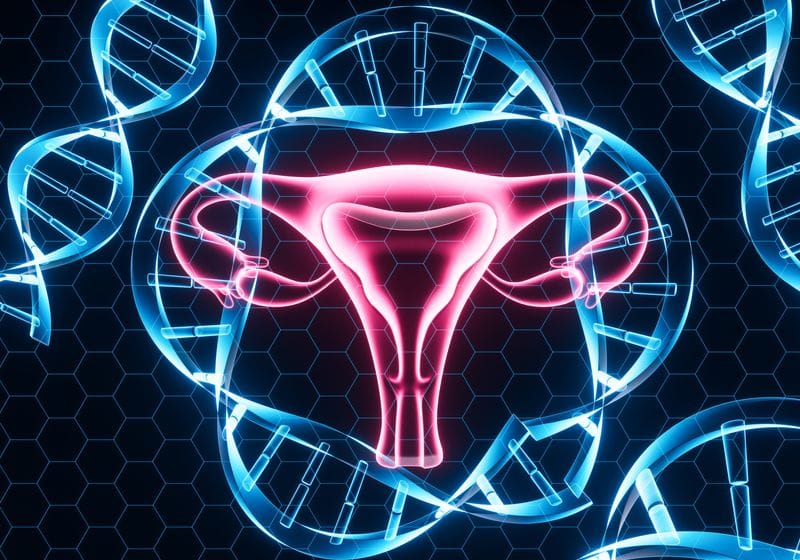 Detecting the Cell-Free DNA Fragmentome of Ovarian Cancer 1 Detecting the Cell-Free DNA Fragmentome of Ovarian Cancer