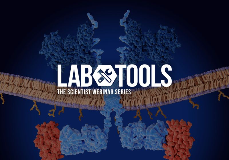Engineering the Next Generation of CAR T Cells for Solid Tumors 1 Engineering the Next Generation of CAR T Cells for Solid Tumors