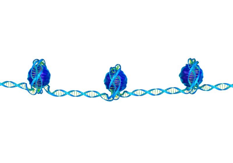 Histone Modification Types and Effects 1 Histone Modification Types and Effects