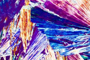 Mirror Microbes Could End All Life on Earth. How Do We Stop Them?