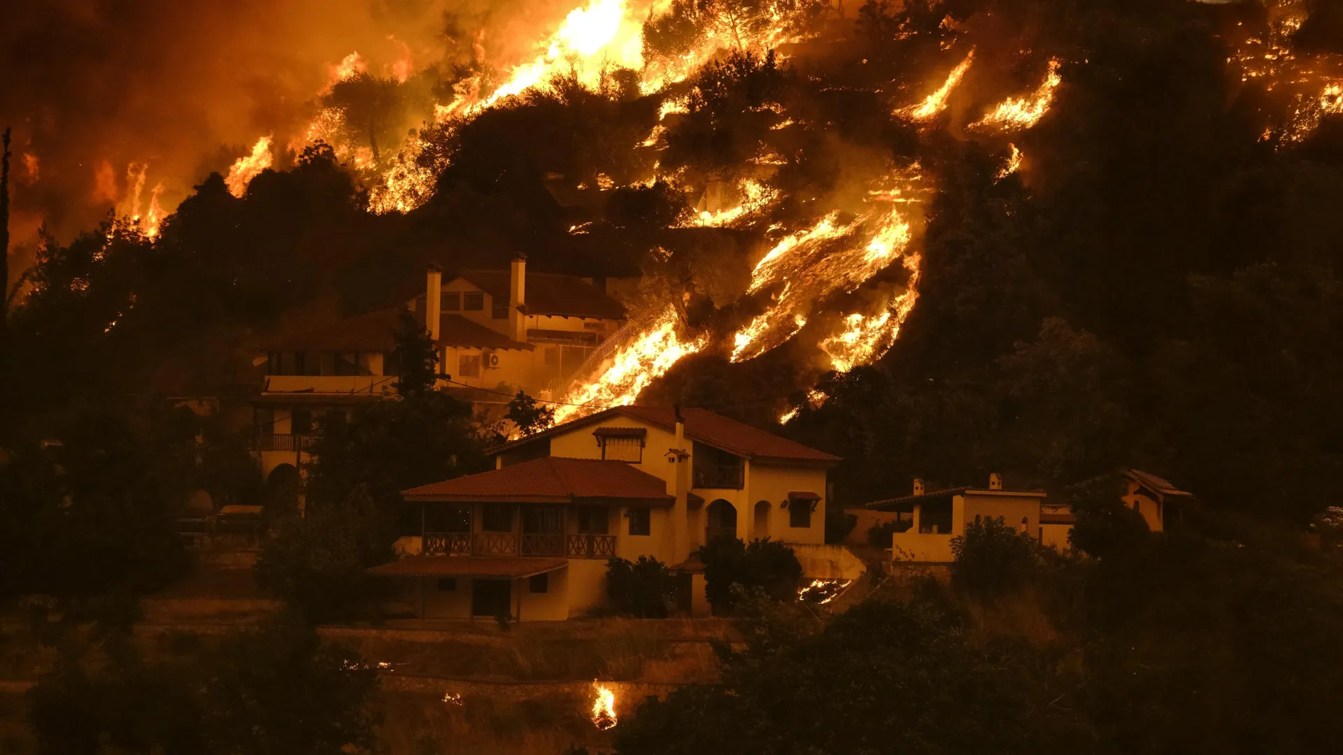 Scientists uncover wildfire paradox that’s putting 440 million people in danger 1 Scientists uncover wildfire paradox that’s putting 440 million people in danger