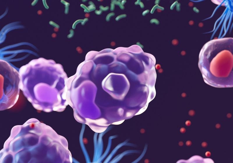 Streamlining Macrophage Polarization Workflows | The Scientist 1 Streamlining Macrophage Polarization Workflows | The Scientist