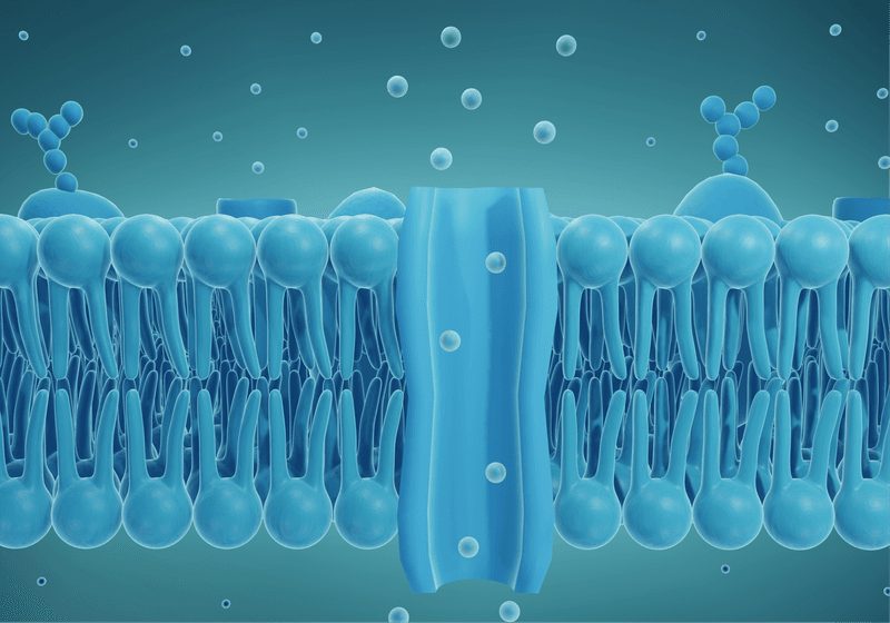 Synthetic Peptide Calms Overactive Electrical Channels in Cells