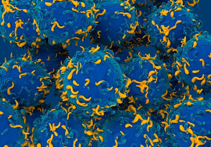 Transforming CAR T-Cell Therapy Development