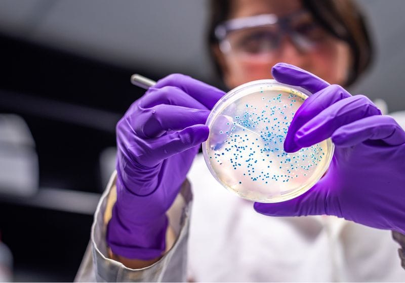 Viral Enzyme Accelerates Evolution of Therapeutic Proteins 1 Viral Enzyme Accelerates Evolution of Therapeutic Proteins