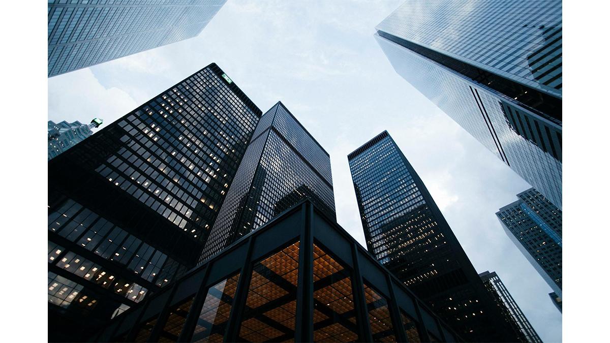 What are securities lawyers like?