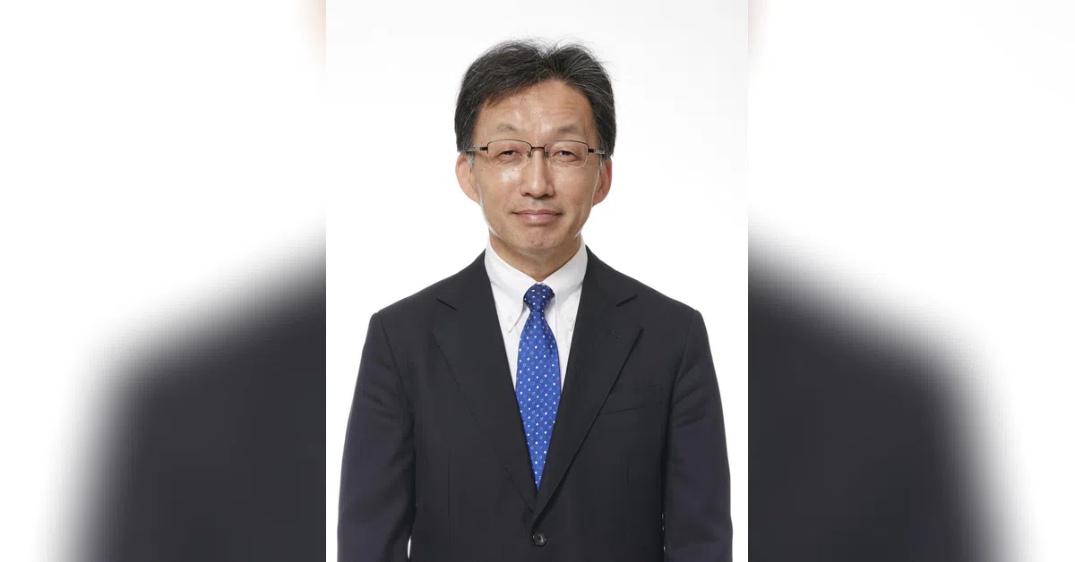 ArcelorMittal Nippon Steel Industries