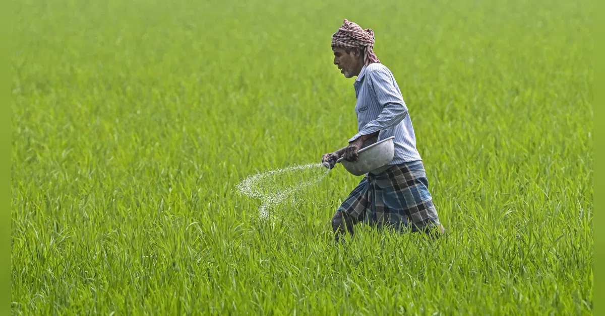 Fertilizer production stable; official