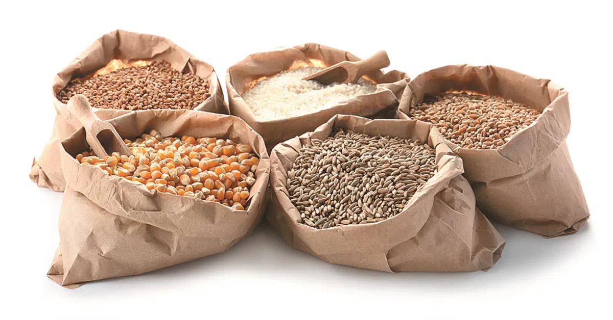 Datanomics: Protein of India