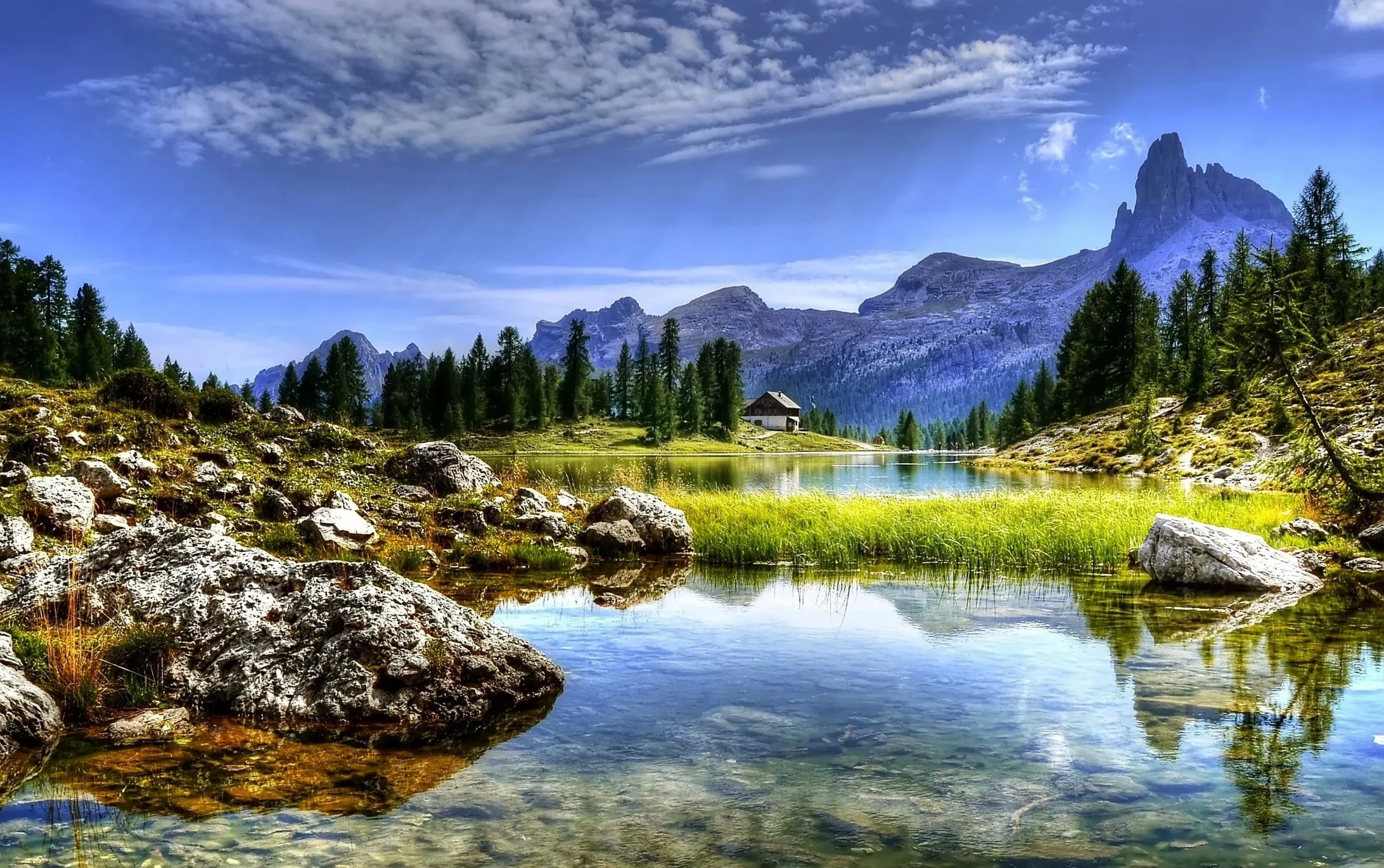 The Art of Living in the Present: Discover the Joy of Now